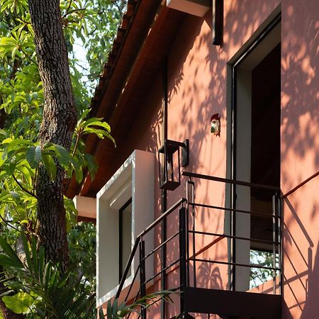 La Paranera Hotel & Relax Комала Экстерьер фото